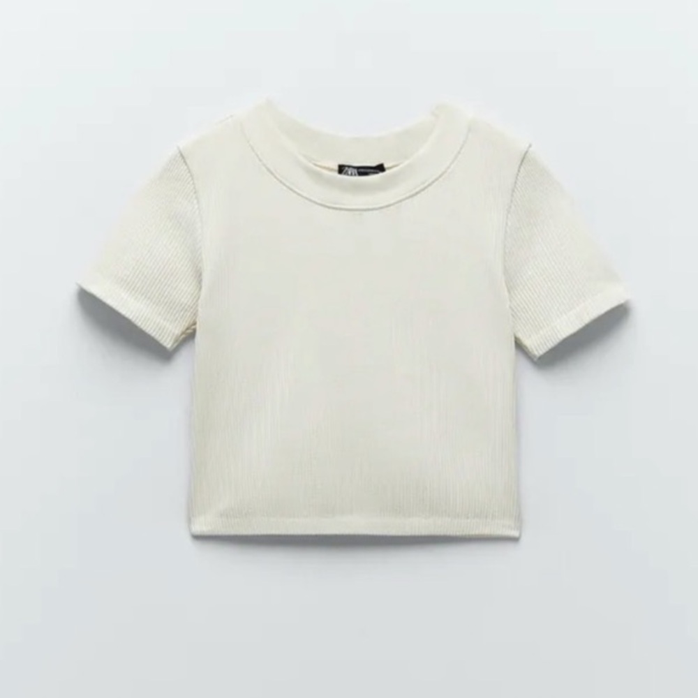 ZARA Ribbed Seamless Crop Top - Limitless Contour Collection - XS